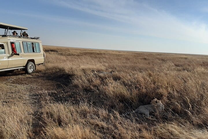 Private Game Drive in Maasai Mara 6