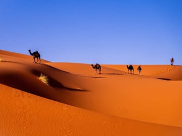3 DAYS PRIVATE LUXURY DESERT TOUR FROM MARRAKECH TO MERZOUGA