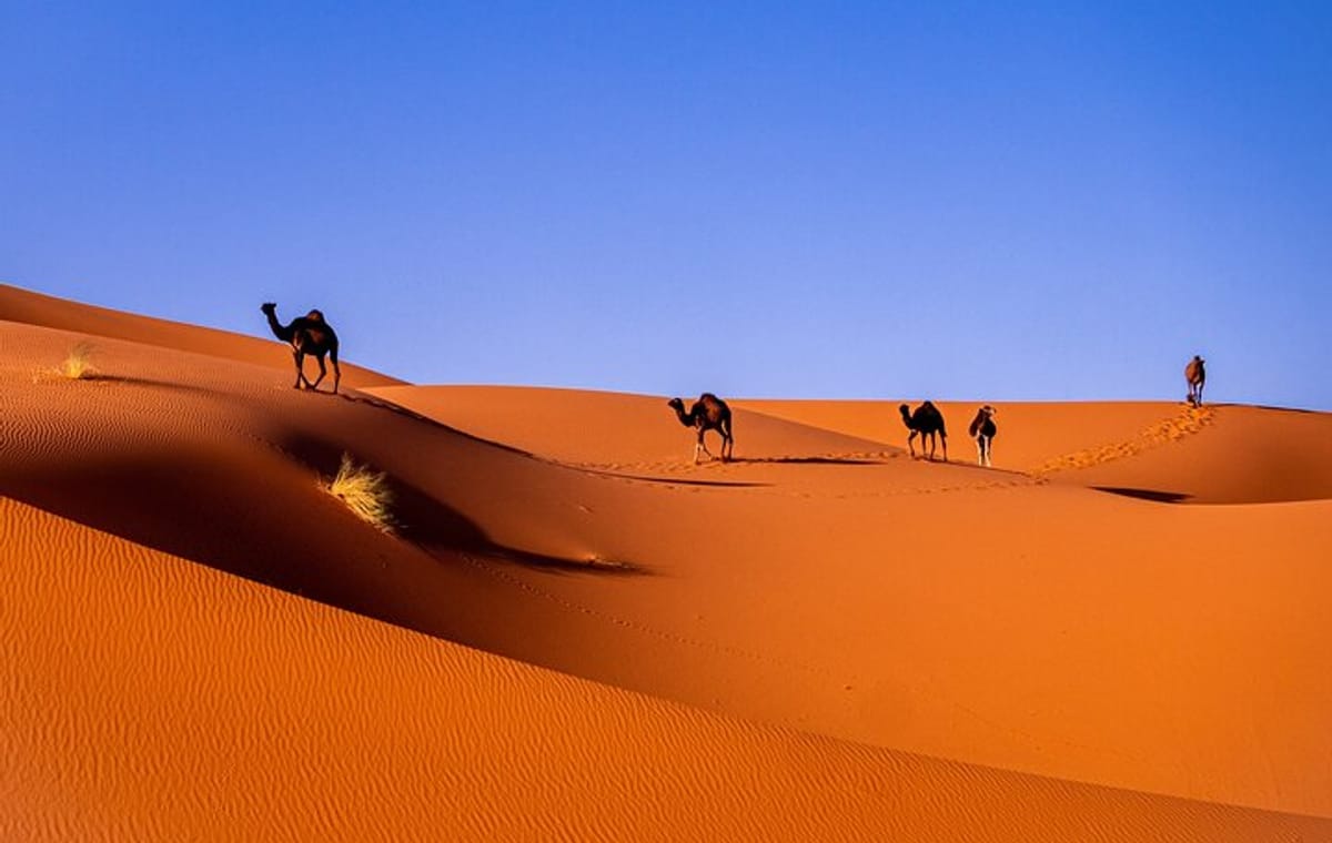 Private Desert Odyssey: Marrakech to Merzouga 3-Day Adventure