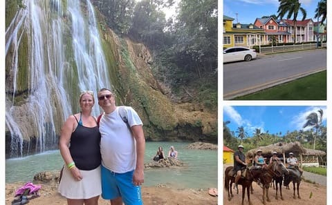 Whale Watching and Waterfall Adventure in Punta Cana