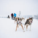 Self-Driving Husky Tour 7-kilometers 4
