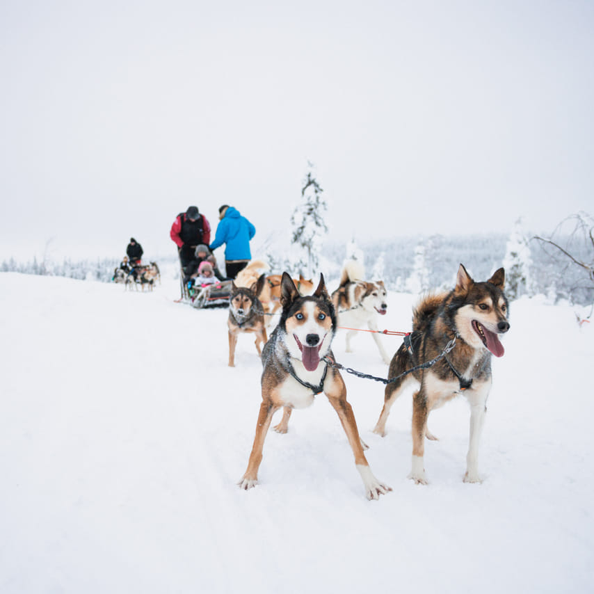 Self-Driving Husky Tour 7-kilometers 4