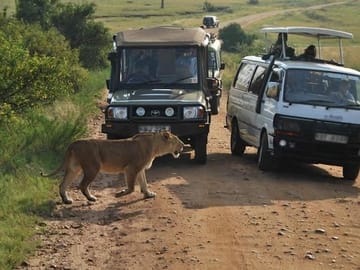 Nairobi National Park and Wildlife Attractions Tour
