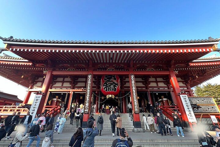 Unique Japanese Shrines and Temples and Sky Tree View Tour