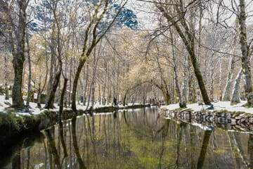 Private Full Day Nature Tour in Serra da Estrela, Portugal