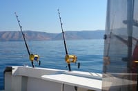 Big Game Fishing Hvar 2