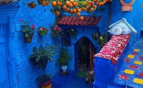 Two-Day Cultural Tour of Chefchaouen from Casablanca