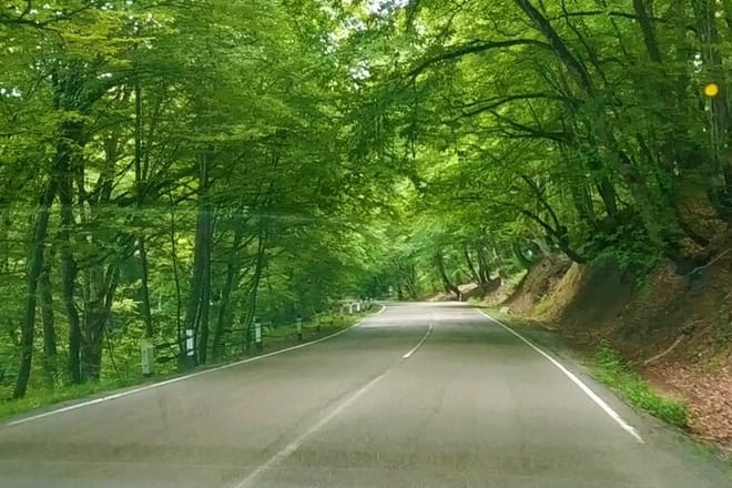 Discover Kakheti: Telavi, Sighnaghi, Lagodekhi, Akhtala & More 2