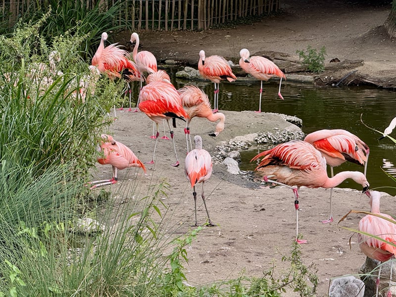 Zurich for families: the zoo and the Masoala rainforest