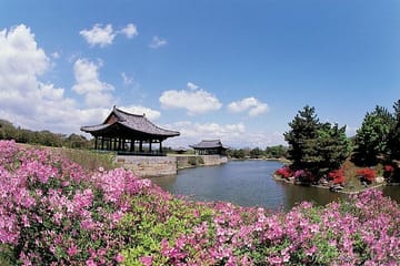 3Day Private tour from Busan to Seoul with Gyeongju UNESCO World Heritage sites