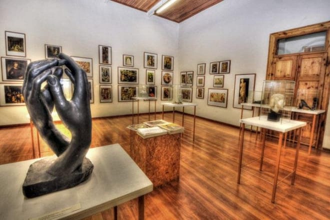 Best Museums of São Paulo Combined with a Panoramic Sightseeing 9