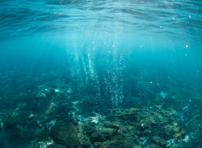 Hot Spring Snorkeling Tour - Selfdrive photo 5
