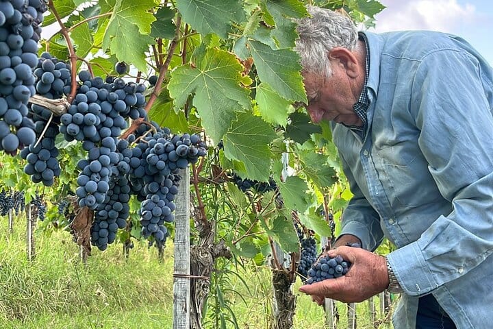 E-Bike Tour in the Tuscan Hills with Wine Tasting