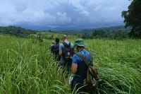 UNESCO Khao Yai National Park Adventure: Hiking & Waterfalls 2