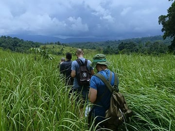 Khao Yai National Park Full-Day Tour from Bangkok