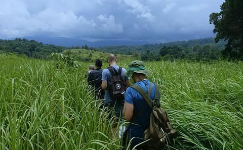Khao Yai National Park Full-Day Tour from Bangkok