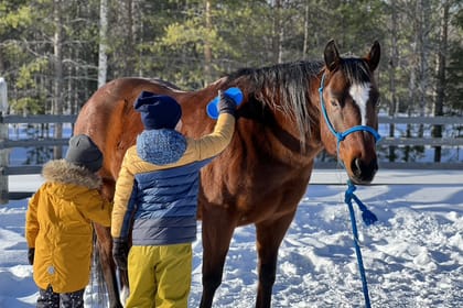 A small group horseback riding tour in the snow