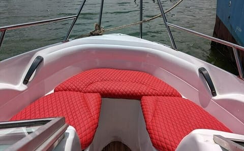 Whale Watching Speed Boat Tour in Mirissa, Sri Lanka