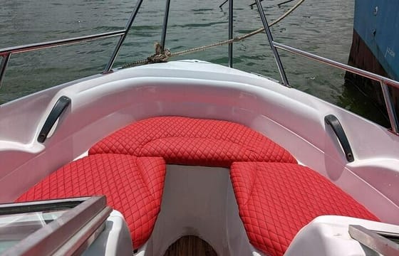 Whale Watching in Speed Boat in Mirissa