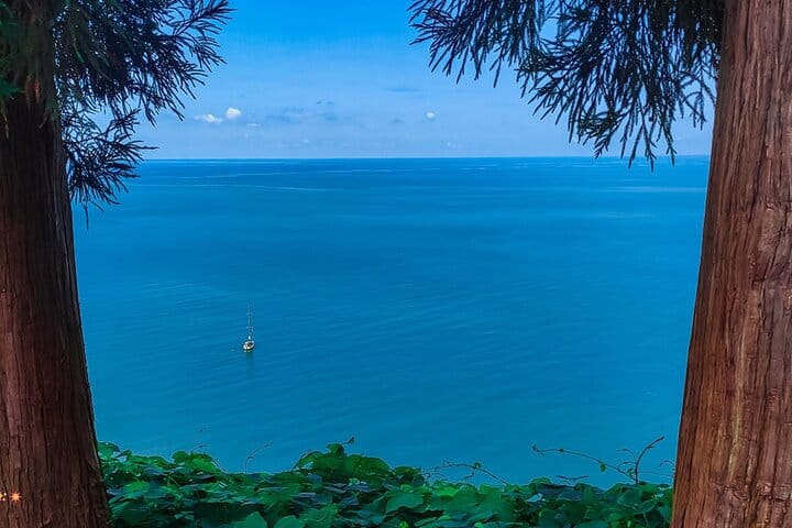 4 Full days in Georgia with private tour, free aiport