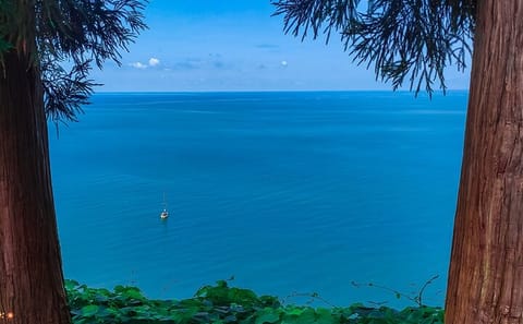 Private Walking Tour of Mtirala National Park and Botanical Garden from Batumi