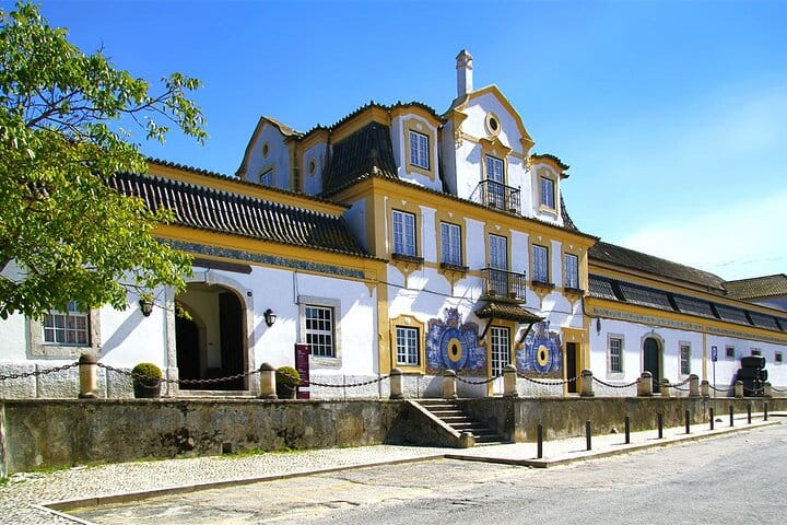 Lisbon to Setúbal Peninsula Private Full-Day Tour 3