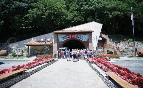 Wine Tasting and Cultural Tour in Sighnaghi, Georgia