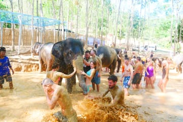 Chiang Mai: Ethical Elephant Sanctuary Interactive Tour
