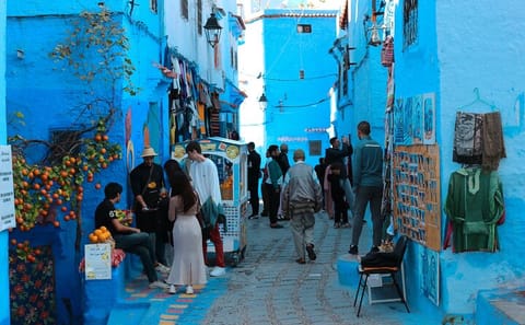 Day Trip to Chefchaouen from Tangier with Local Guide