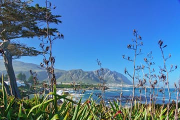 12-Day Cape Town and Garden Route Cultural and Nature Tour