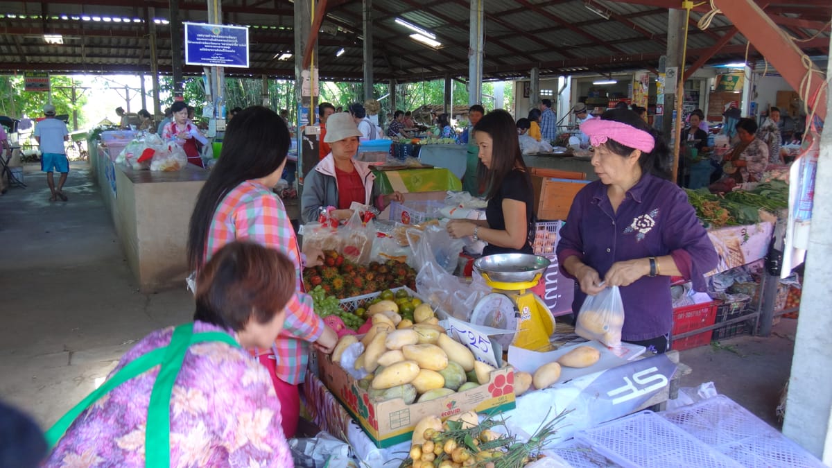 Chiang mai Suthep National Park Leisure Hiking & Mountain Biking