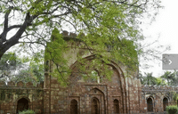 A Experience with Taj Mahal, Fort & Desert 6