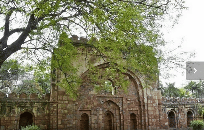 A Experience with Taj Mahal, Fort & Desert 6