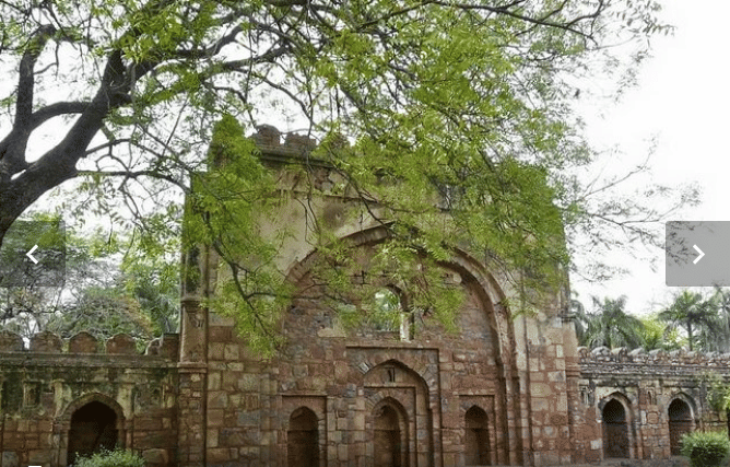 A Experience with Taj Mahal, Fort & Desert 6