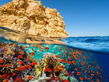 Half-Day Bus Tour of Ras Mohamed Nature Reserve, Sharm El Sheikh