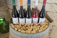 Authentic Tuscan Wine Tasting in a Florentine Osteria 5