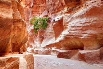 Full Day Petra Tour from Sharm El Sheikh with ATV Adventure