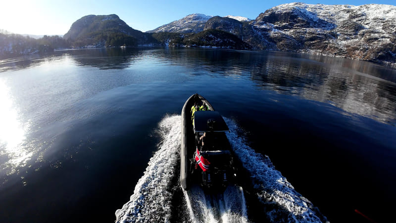 Mostraumen Fjord Safari - by Premium RIB Boat