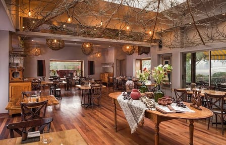 Private Premium Gastronomic Experience in Santiago