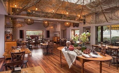 Private Culinary Tour of Santiago's Food Scene