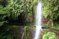 PR18 Wood Levada : Hidden Corners : The King's Levada 1