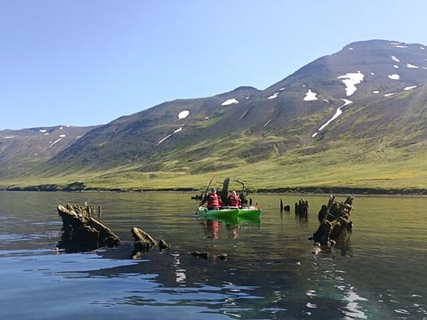 Guided kayak tour in Siglufjörður / Siglufjordur., photo 11