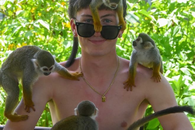 3x1: Puerto Plata Cable Car, City Tour & Monkeyland
