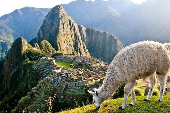 Machu Picchu
