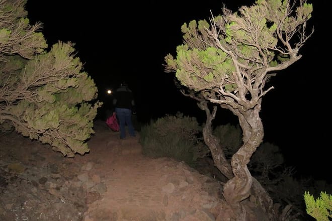 Pico Ruivo Sunrise Hike and 4x4 Island Tour from Funchal photo 4