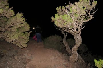 Pico Ruivo Sunrise Hike and 4x4 Island Tour from Funchal