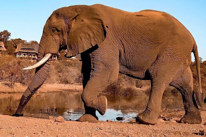 15 minutes scenic helicopter flight above Victoria Falls-Zimbabwe