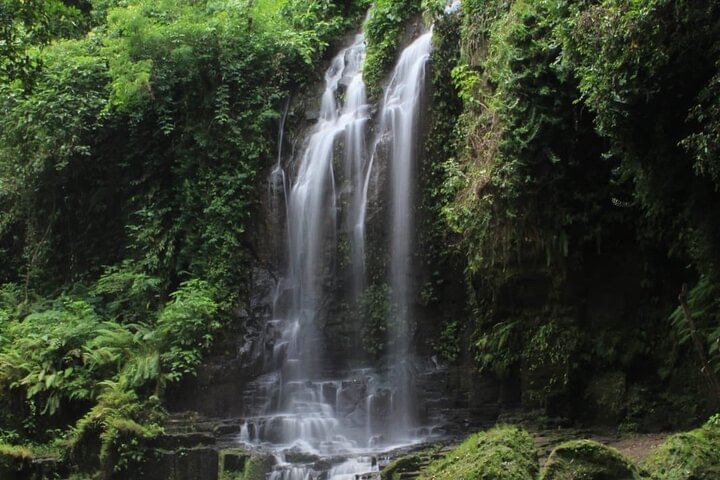 Discover Nature of Bali