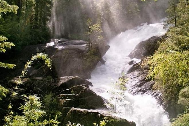 Bariloche: Puerto Blest, Cantaros Waterfall and Frias Lake 7