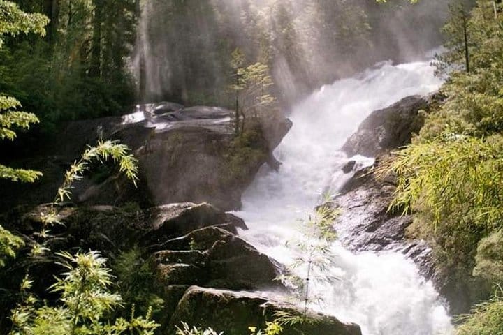 Bariloche: Puerto Blest, Cantaros Waterfall and Frias Lake 7